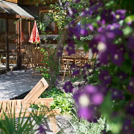 Apartmán Beethoven - Ihre Allgaeu-auszeit Mit Hund