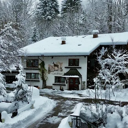 Beethoven - Ihre Allgaeu-auszeit Mit Hund Appartamento